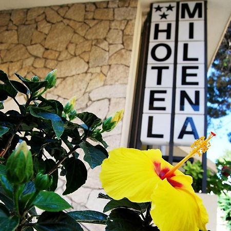 Hotel Milena Rimini Buitenkant foto