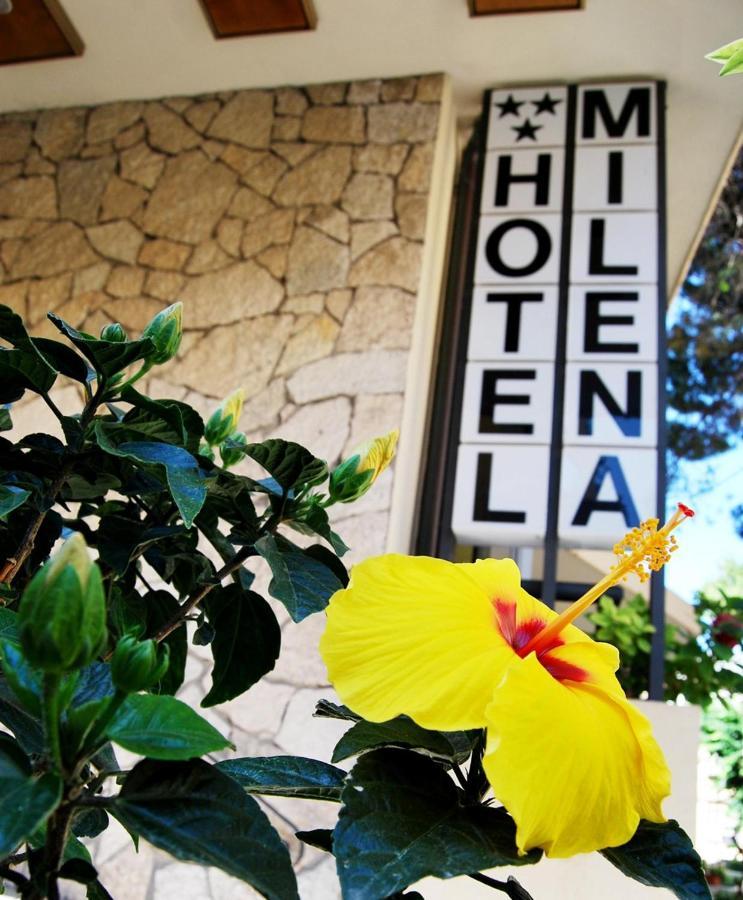 Hotel Milena Rimini Buitenkant foto